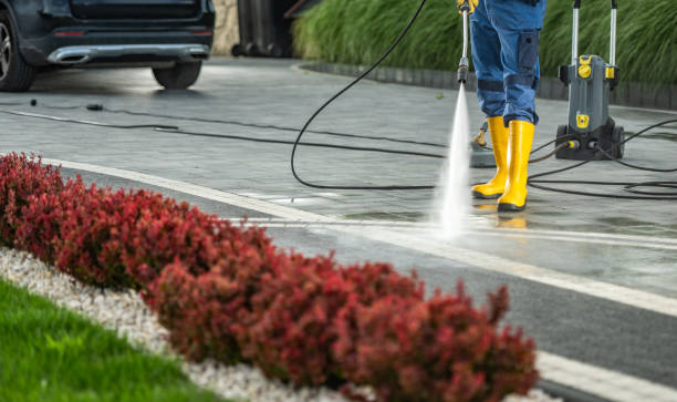 Best Local Pressure Washing Services  in Bell Gardens, CA