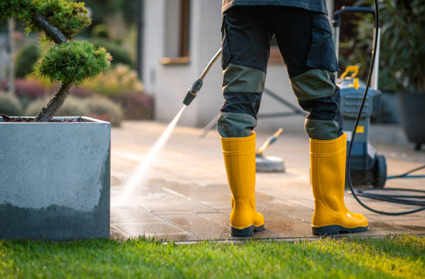 Local Pressure Washing Services in Bell Gardens, CA